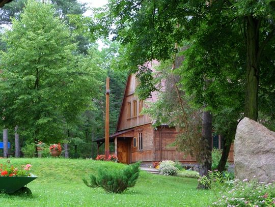 Kapliczka ukryta w lasach Choszczówki