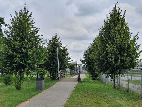 Magiczny Park. Co można robić na terenie przy ul. Magicznej?