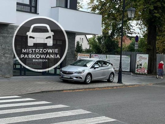 Mistrzowie parkowania #15