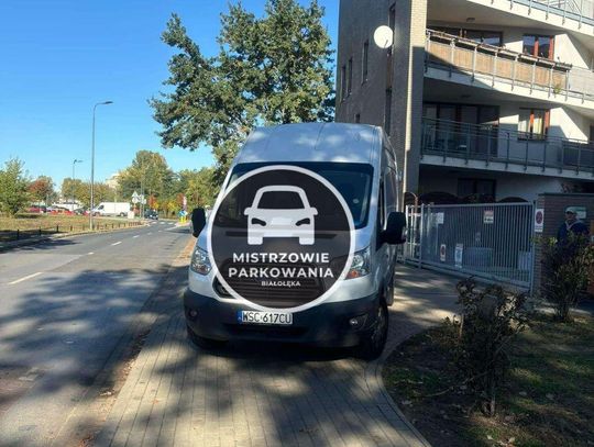 Mistrzowie parkowania #26