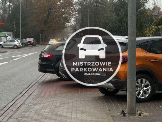 Mistrzowie Parkowania #30