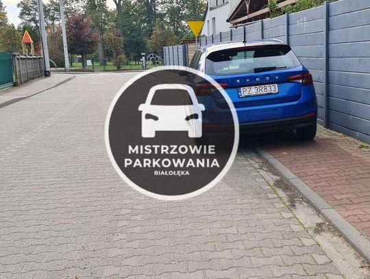 Mistrzowie Parkowania #31