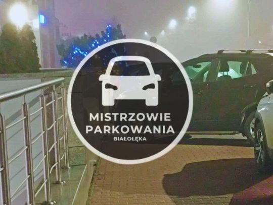 Mistrzowie parkowania #40