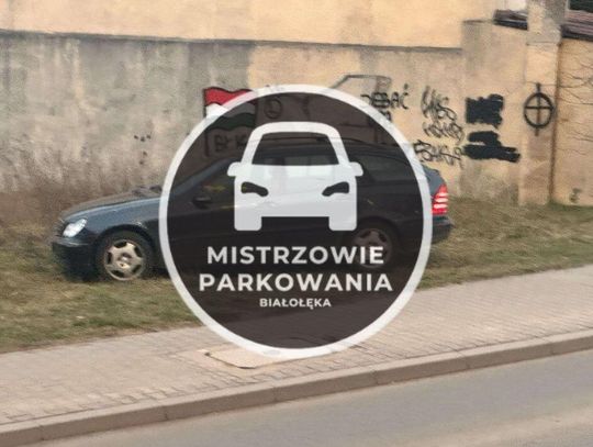 Mistrzowie parkowania #42