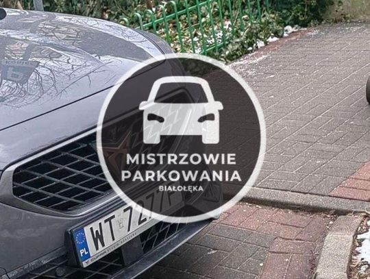 Mistrzowie parkowania #46