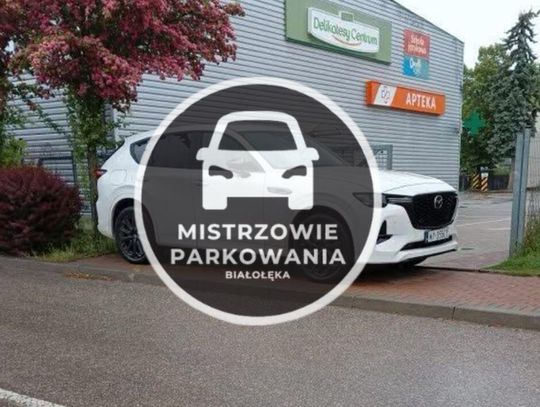 Mistrzowie Parkowania #57