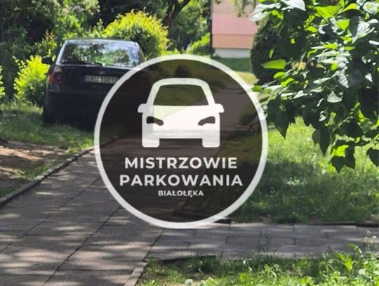 Mistrzowie Parkowania #58