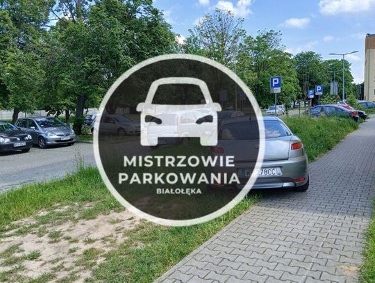 Mistrzowie parkowania #59