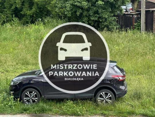 Mistrzowie parkowania #61