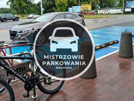Mistrzowie parkowania #63