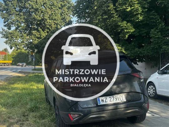 Mistrzowie parkowania #64