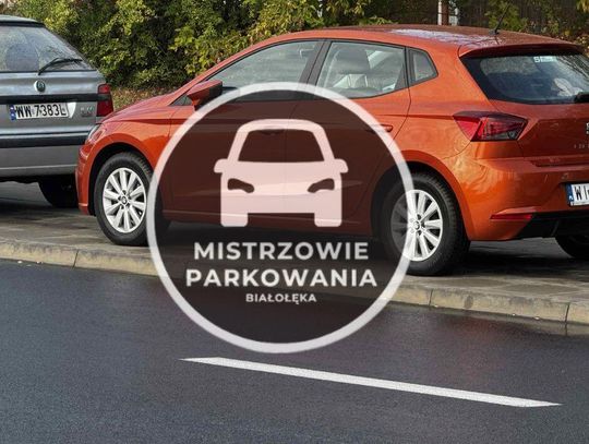 Mistrzowie parkowania #66