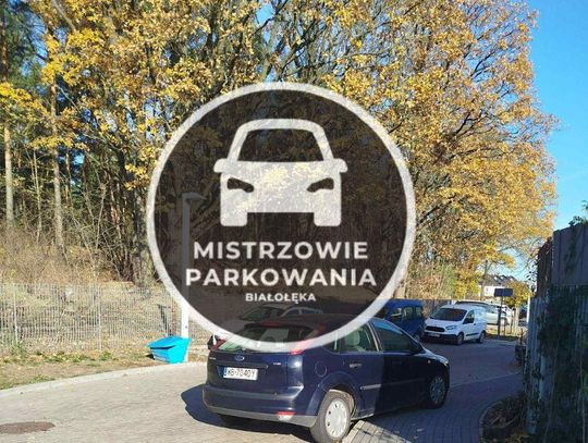 Mistrzowie parkowania #69
