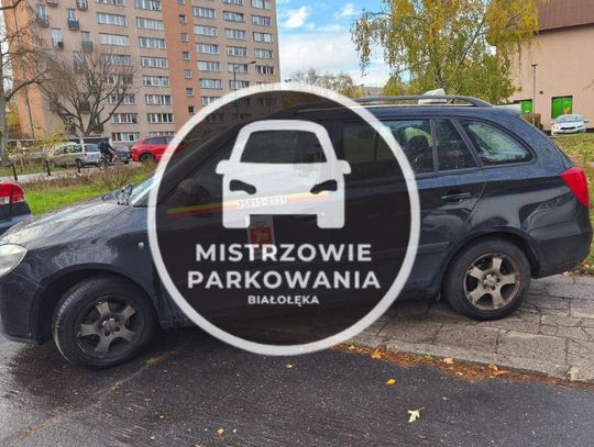 Mistrzowie parkowania #70