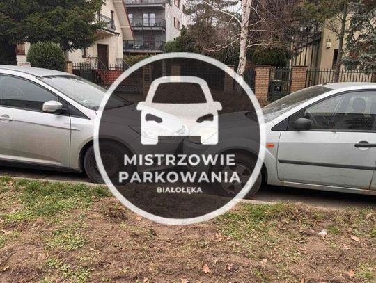 Mistrzowie parkowania #71 Mistrzowie parkowania #71
