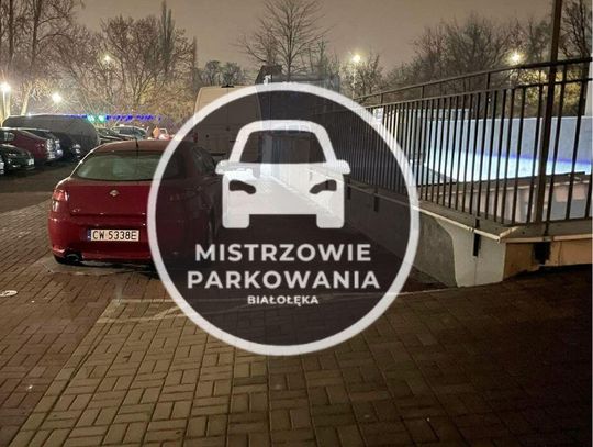 Mistrzowie parkowania #72
