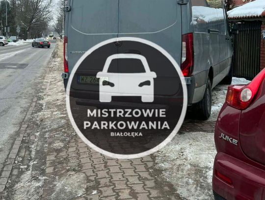Mistrzowie parkowania #75