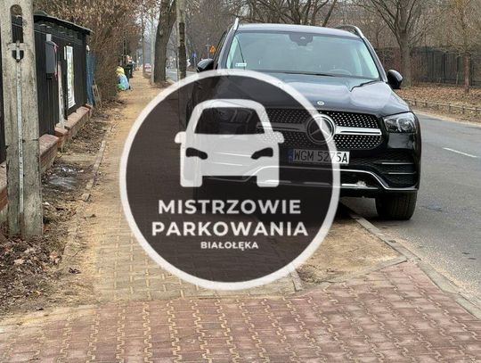 Mistrzowie Parkowania #77