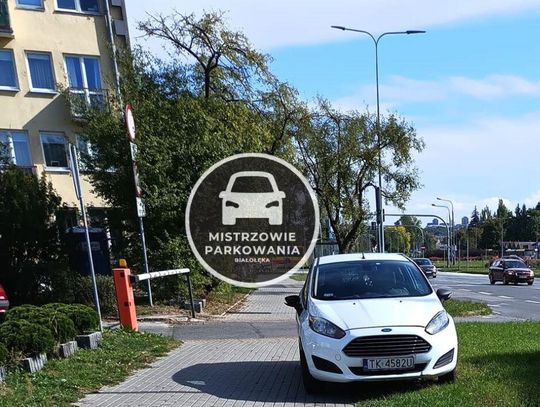 Mistrzowie parkowania #79