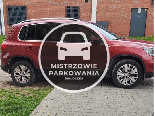 Mistrzowie parkowania #80
