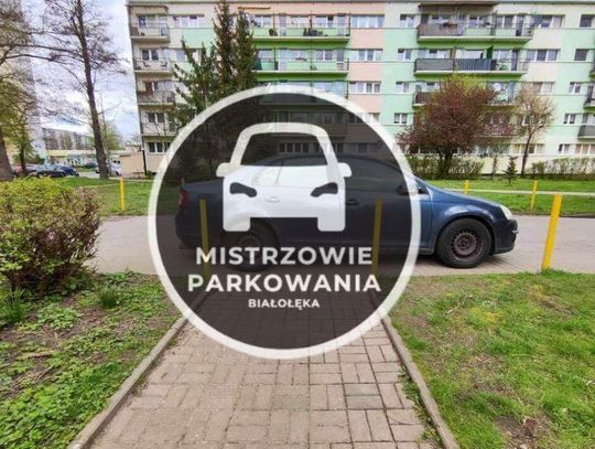 Mistrzowie parkowania #82