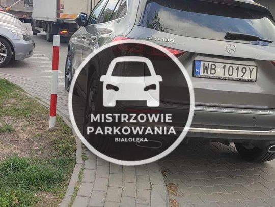 Mistrzowie parkowania #83