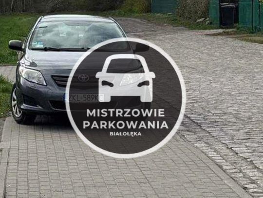 Mistrzowie parkowania #84