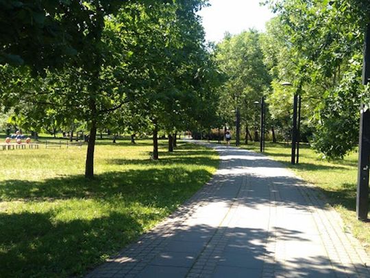 Park Henrykowski – zielona perełka Białołęki, którą warto odkryć