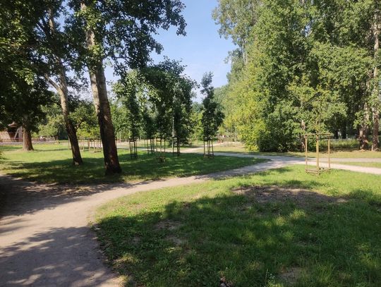 Park Picassa pod ostrzałem wandali. Radny alarmuje: „To już zagrożenie dla mieszkańców” Park Picassa pod ostrzałem wandali. Radny alarmuje: „To już zagrożenie dla mieszkańców”