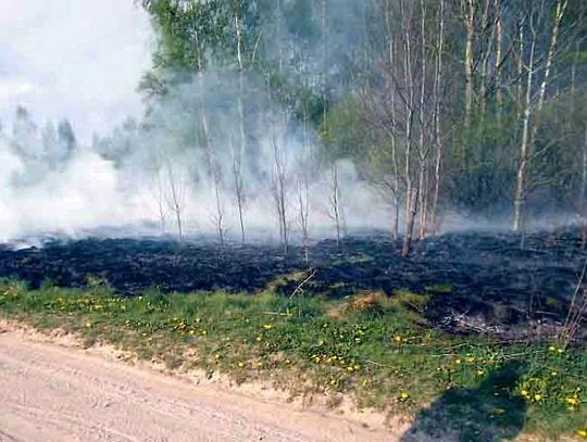 Pożar traw na Annopolu