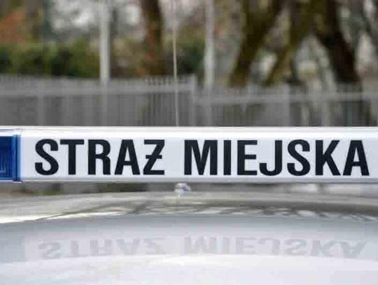 Skandaliczne zachowanie pasażera linii 511