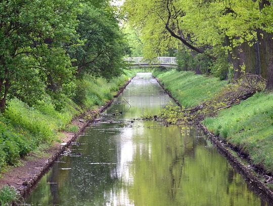 Spacerem po dzielnicy. 5 miejsc, które warto odkryć na nowo