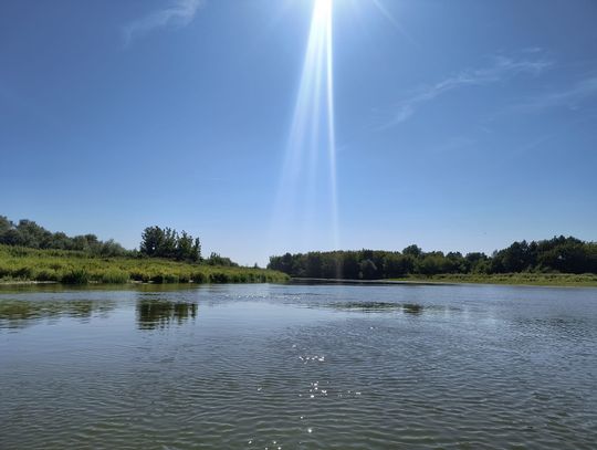 Pilica, spływ rzeką w ramach cyklu Rzeki Mazowsza