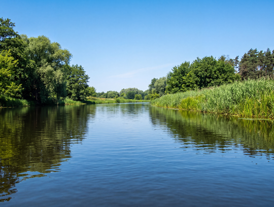 Wkra na jeden dzień. Spływ z Jońca do Pomiechówka - Rzeki Mazowsza, odcinek 3