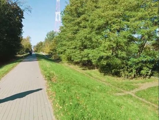 Zielona, ale zapomniana? Jak Warszawiacy widzą Białołękę Zielona, ale zapomniana? Jak Warszawiacy widzą Białołękę