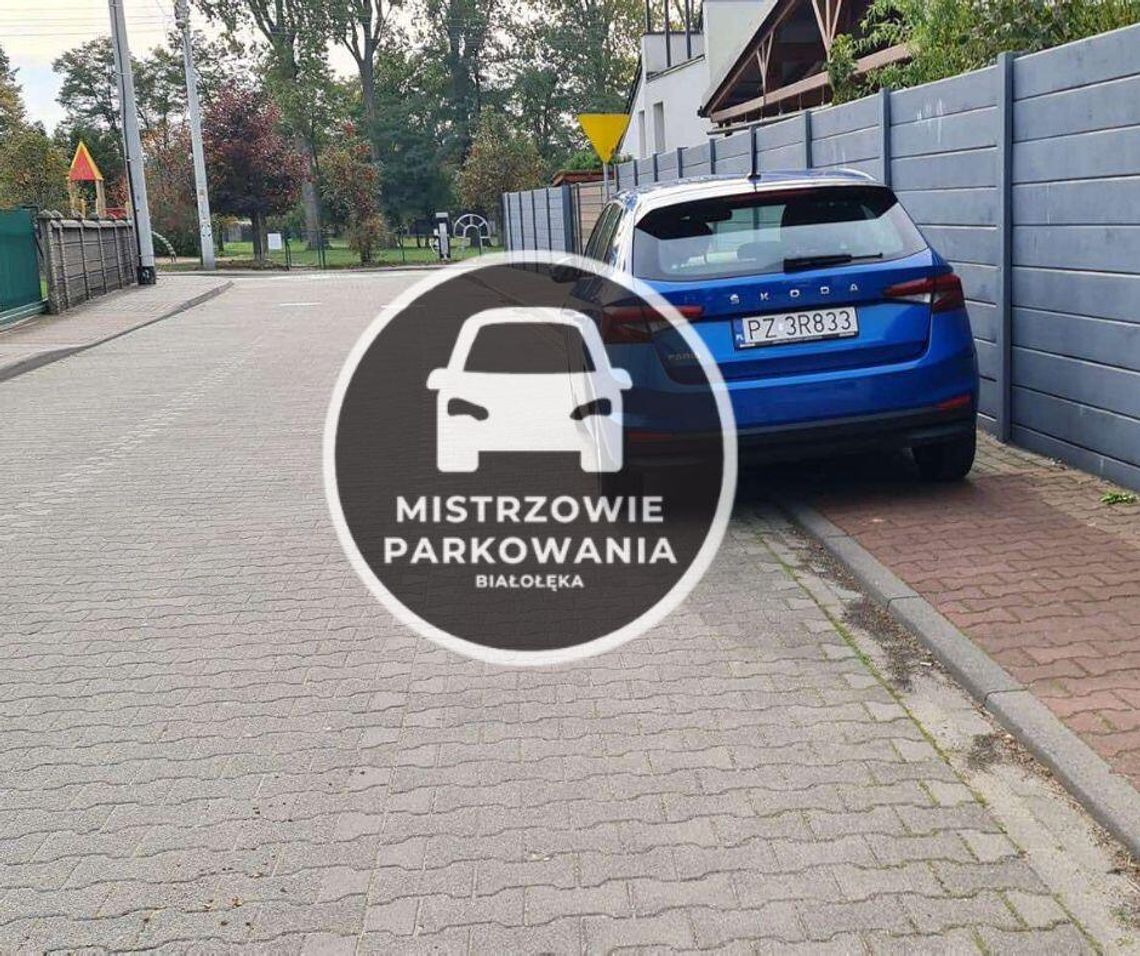 Mistrzowie Parkowania #31