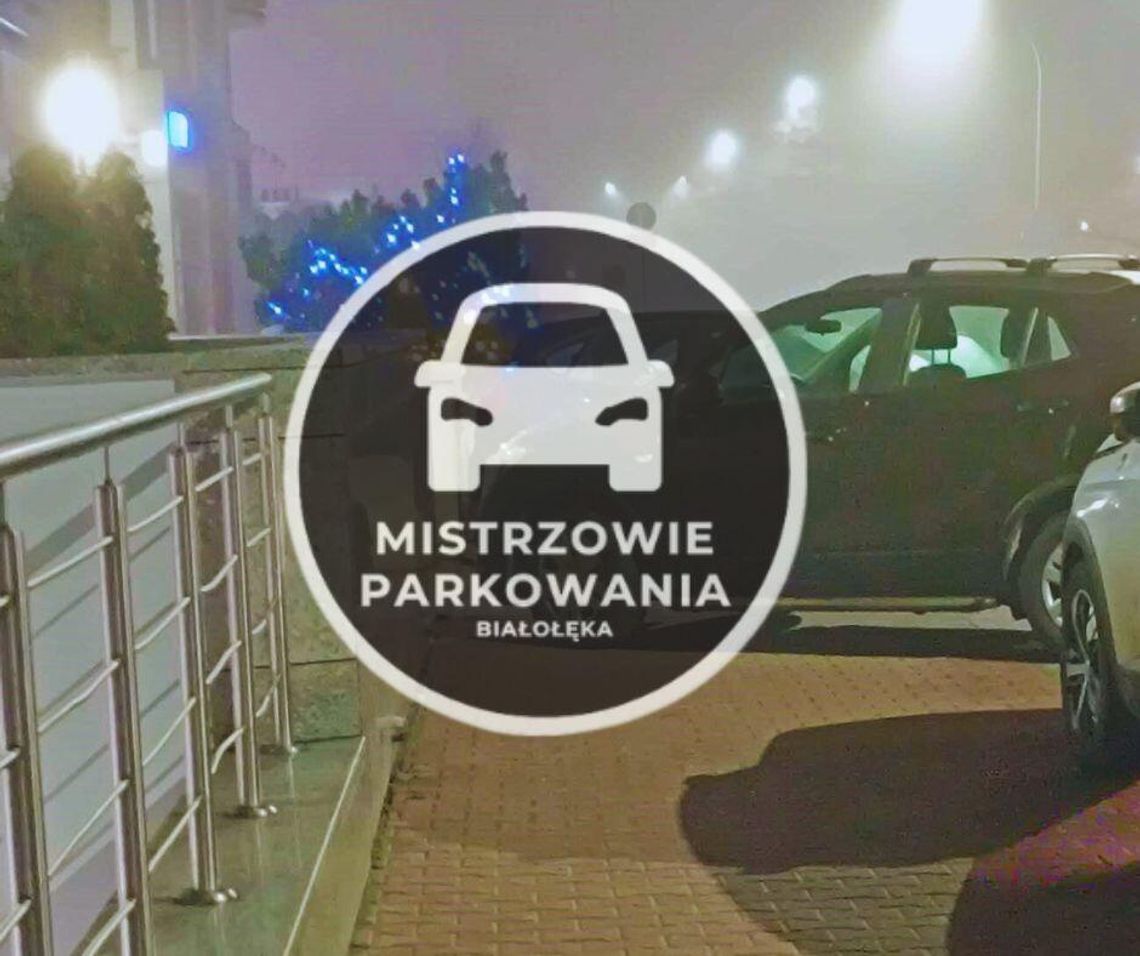 Mistrzowie parkowania #40