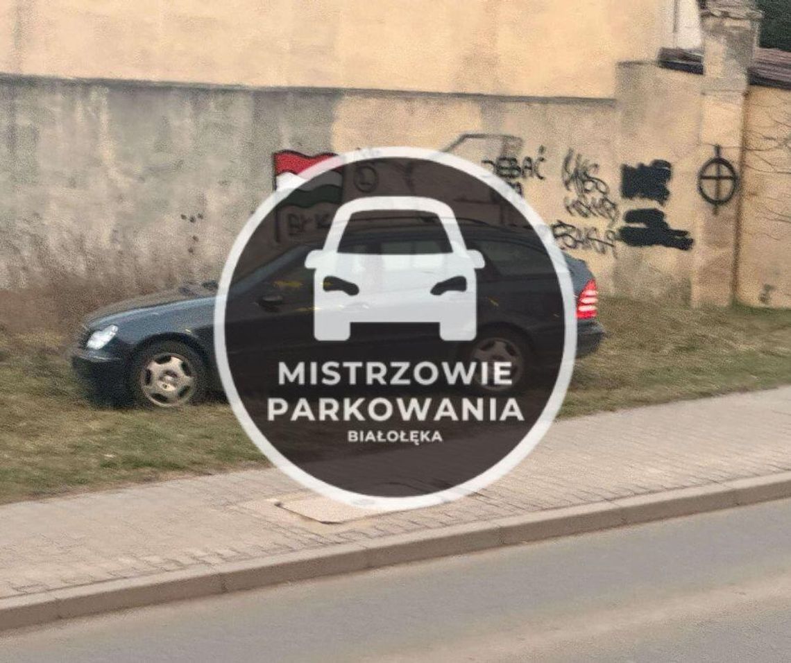 Mistrzowie parkowania #42