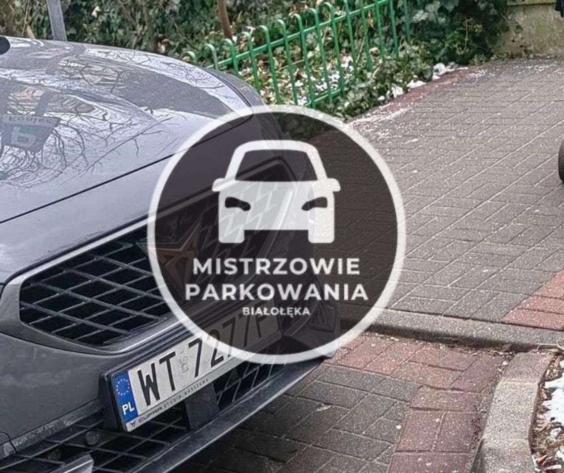 Mistrzowie parkowania #46