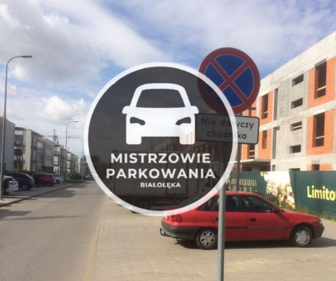 Mistrzowie parkowania #54
