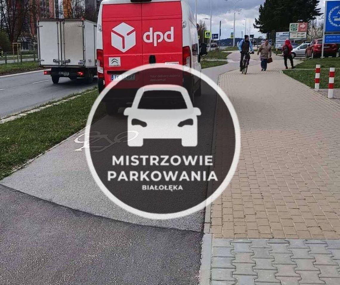 Mistrzowie parkowania #55