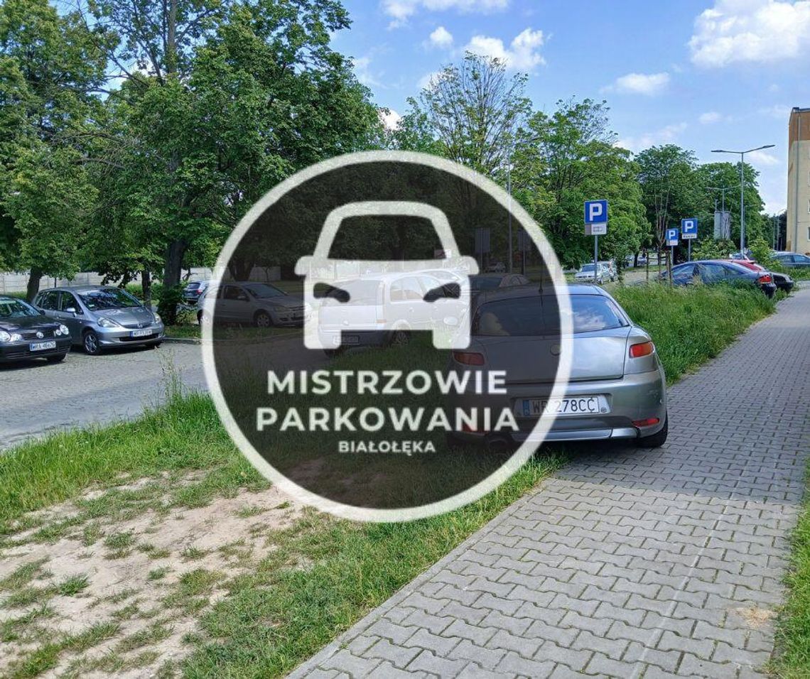 Mistrzowie parkowania #59
