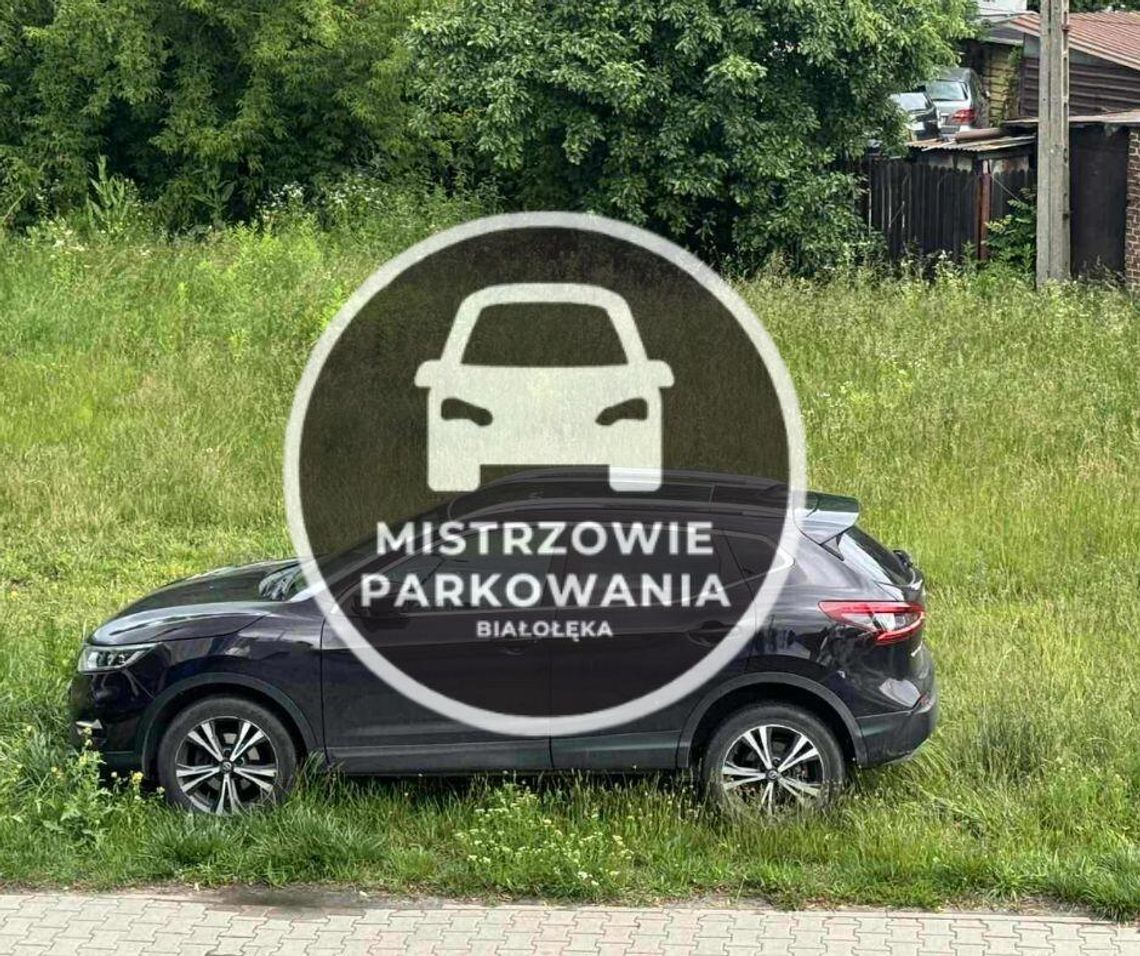 Mistrzowie parkowania #61
