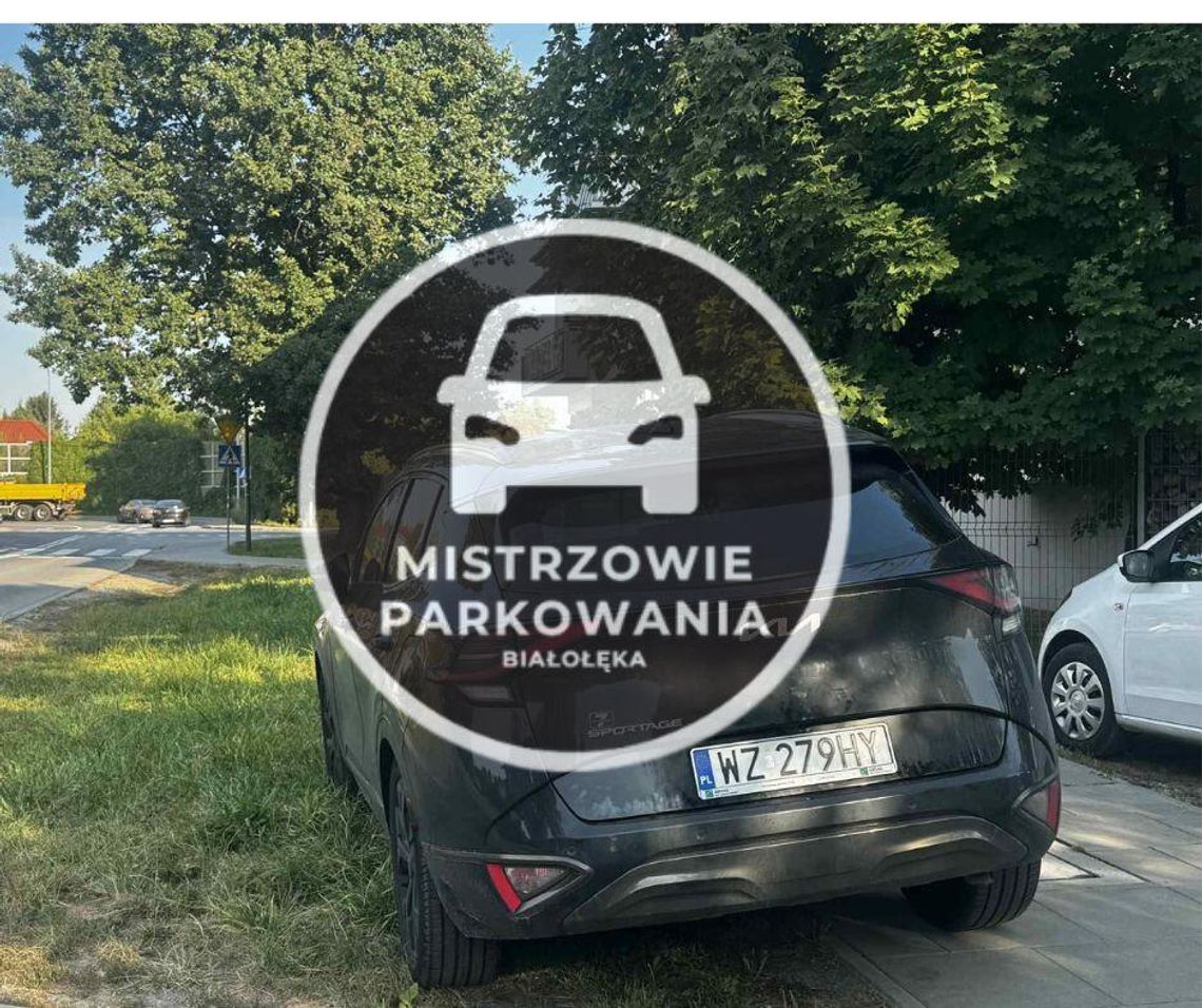 Mistrzowie parkowania #64