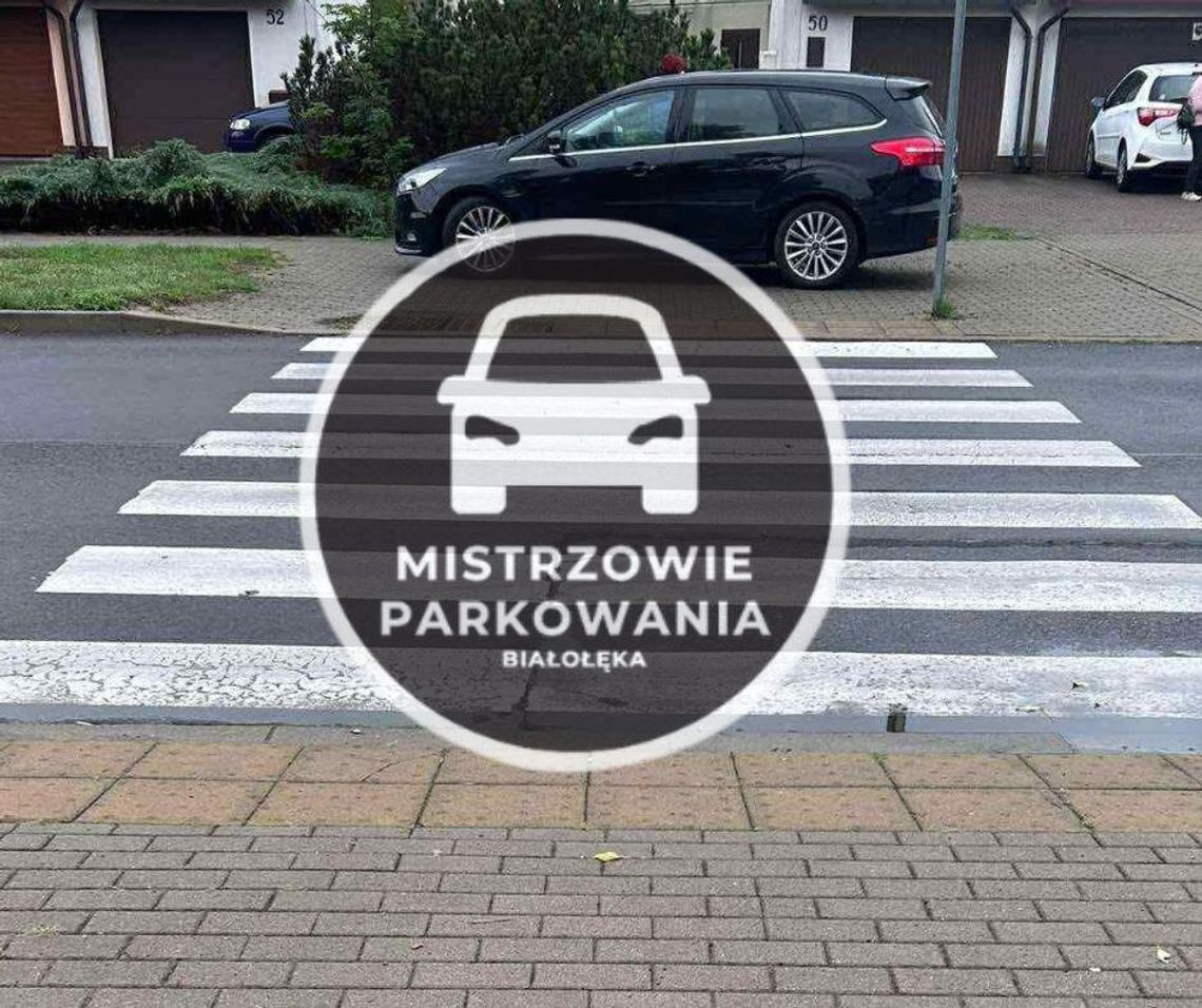 Mistrzowie parkowania #65