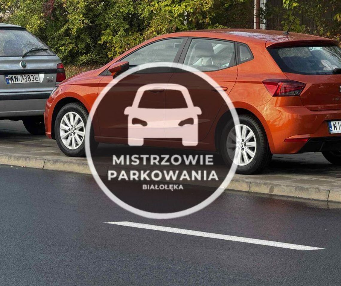 Mistrzowie parkowania #66