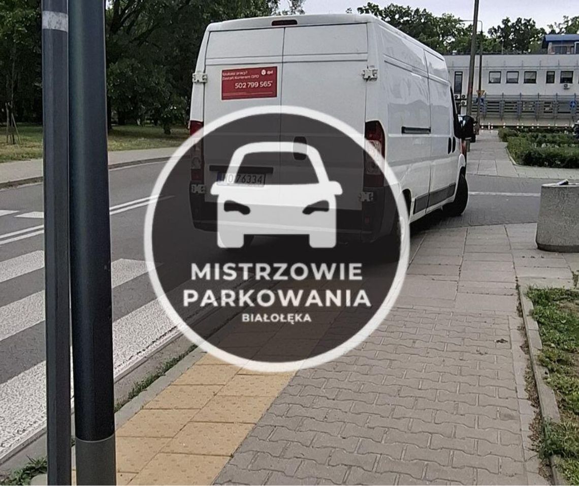 Mistrzowie parkowania #67