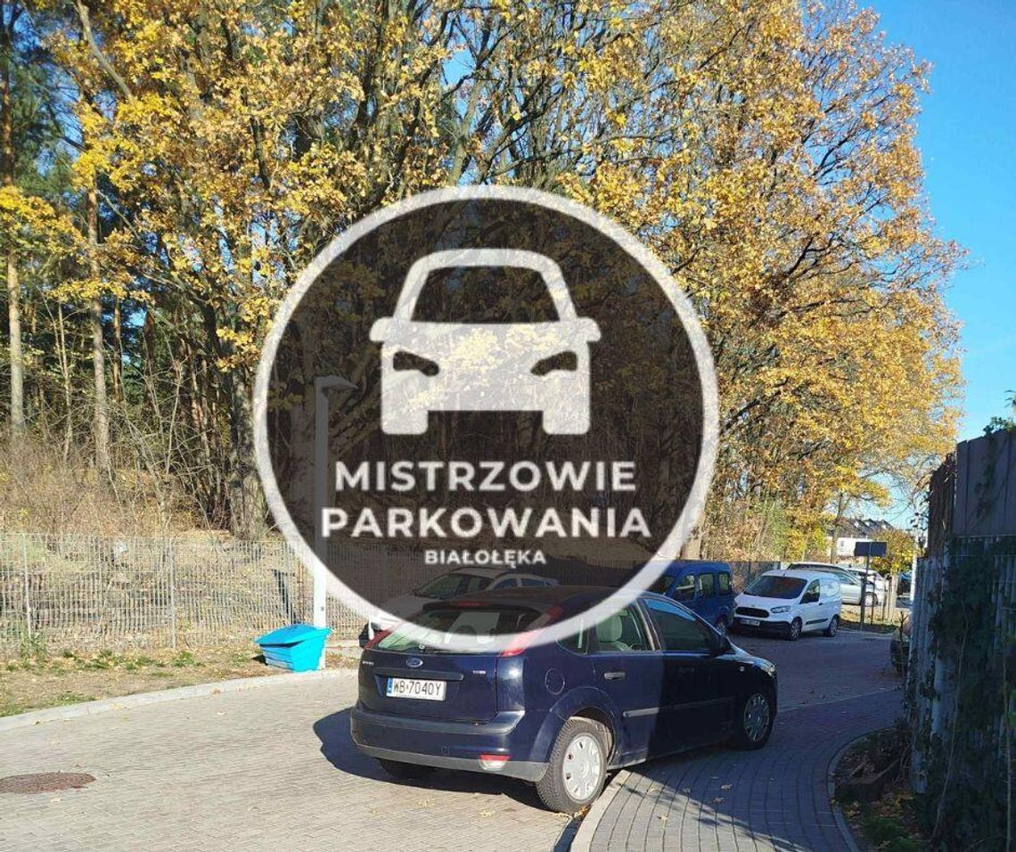 Mistrzowie parkowania #69