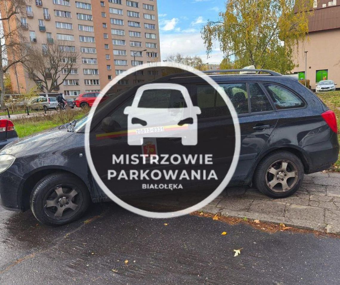 Mistrzowie parkowania #70