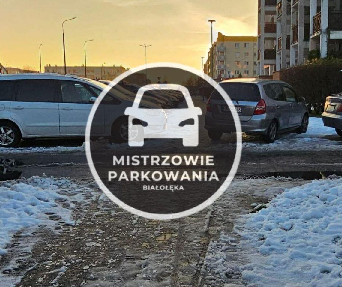 Mistrzowie Parkowania #73